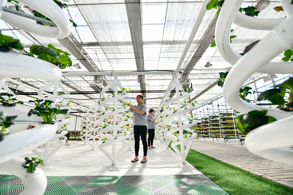 63ɽwhl@Cwһܜ҃ˆTڴoAӛ Ĳ z