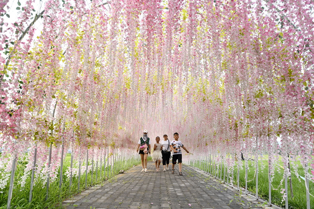 721οɽwXVɽ澰^[Aӛ Ĳ z