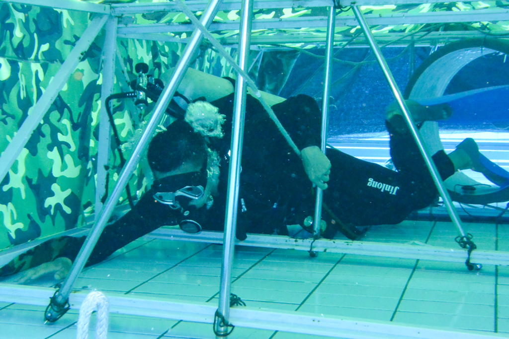 729侯ؑc꠴֧ͧˮTMˮьӖAl_ z