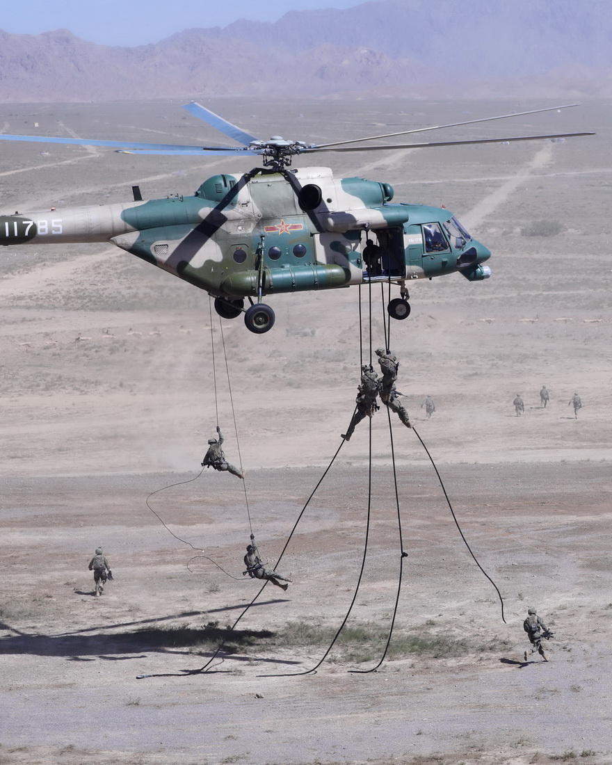 ڡ-2021һΌbϾзֱCdؑСA^꠆ؑTʩ85ՔzAӛ  z