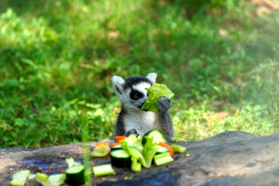 831Ϻ@ĭhβژa¡{