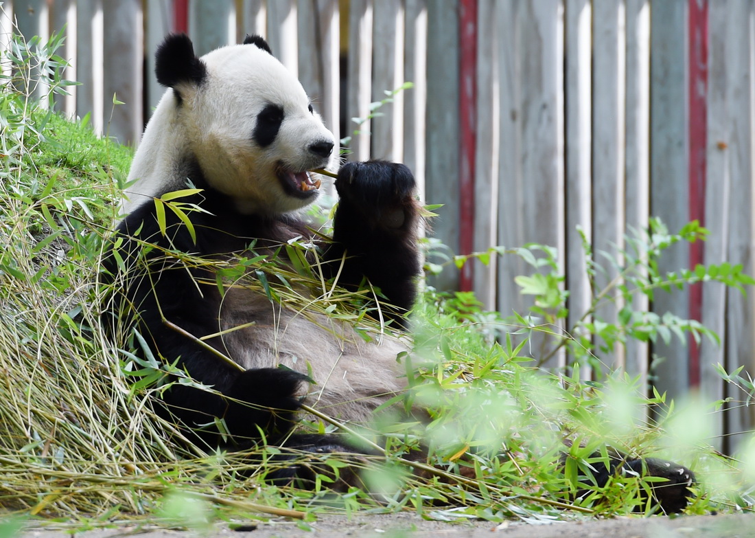 �@��9��7�����������R�����Ĕz�������p��̥����؈�ĸ��H�����ǡ������A��l����˹���֡����B�ؔz��