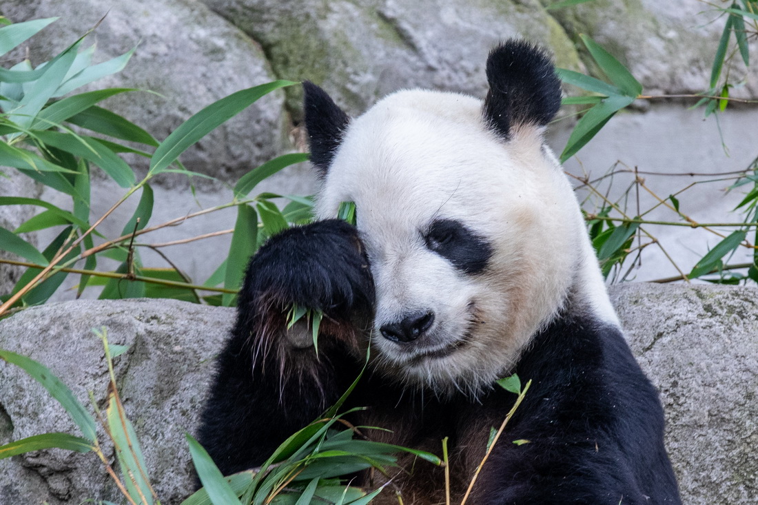 @97RĔzp̥؈ĸHǡAӛ ϶ z