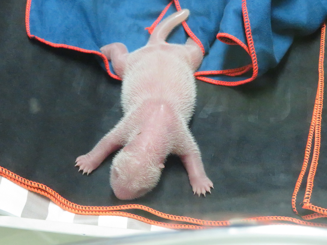 @96RĔzĄĴ؈AlR@ˮ^D