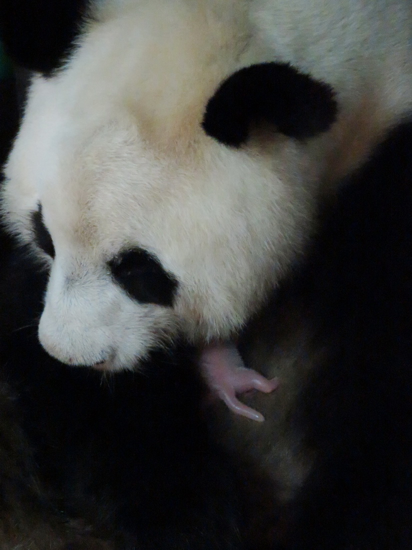 �@��9��6�����������R�����Ĕz�Ĵ���؈������͡��ʹ���؈���������A��l���R�������@ˮ���^���D��