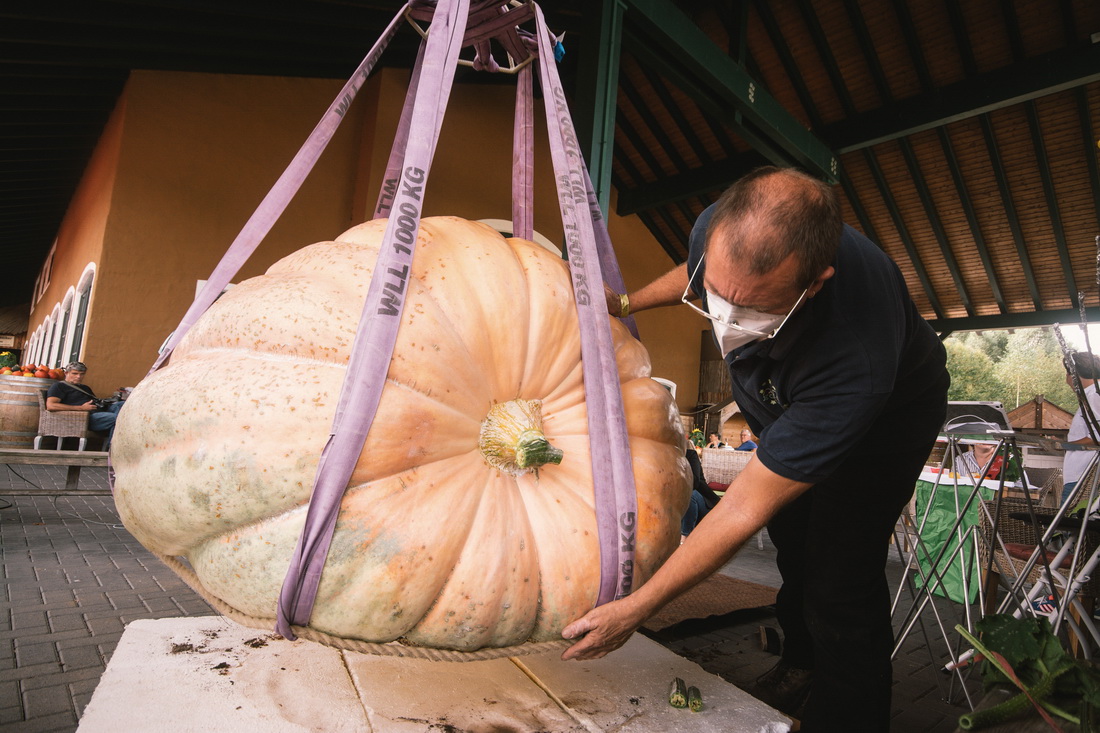 912ڵRyϹϹˆToһϹϷQ