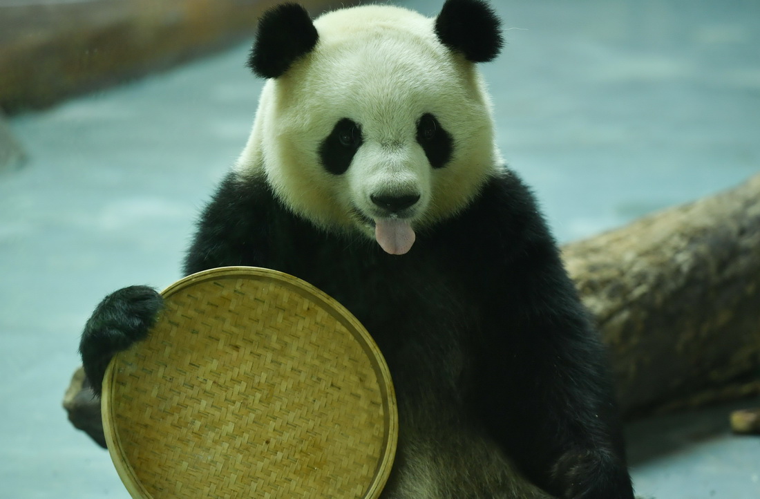 919ຣʡظԭҰ@؈^؈ˣ