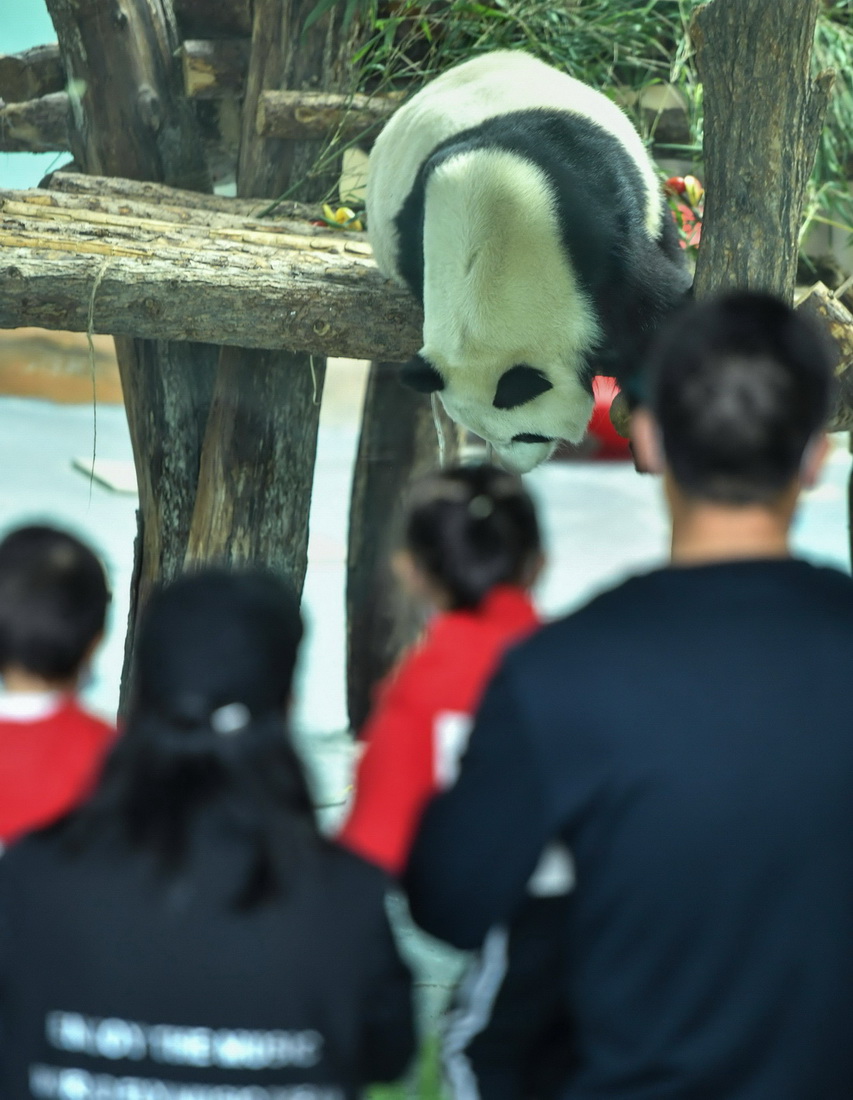 919ຣʡظԭҰ@؈^؈@Mˣ