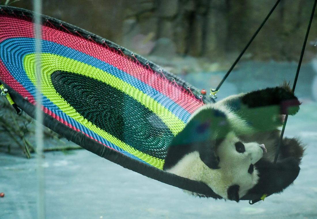 919ຣʡظԭҰ@؈^؈ˣ