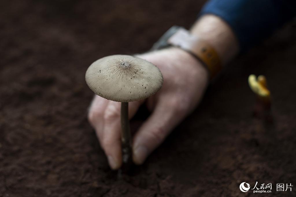 ˵õĈFѽlF͹˳^1000NµľWӛ z