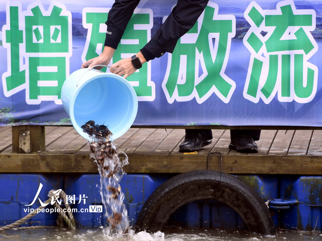 2021111ĴʡϳhrIrˮȲTMɵ־Ը꽭Ͷ~