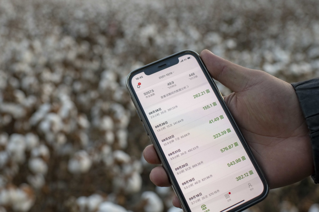 ՕrꑵչʾԼʹßo˙CԼҺr~wД1019ՔzH^o˙CwIıݺꑼڽ8Iһ_