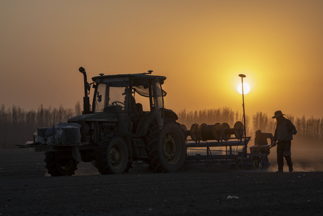 rꑵ{ޙCﲥN܇SSrMЉĤa޷N̎ϵI414Քz