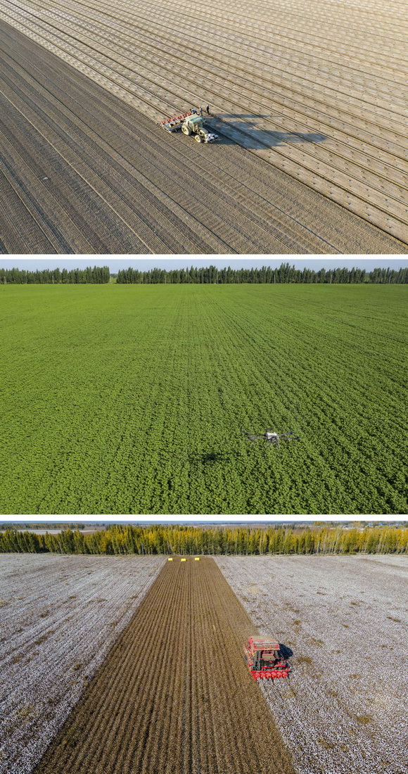 ƴƬψD鴺rꑸָӺ͹́ĹһCеﲥN415Քzo˙CƬЈDļgrrIֲo˙Cꑸּҵˎ715Քzo˙CƬDՕrꑸֹ́ĲޙC޻1024Քzo˙CƬ