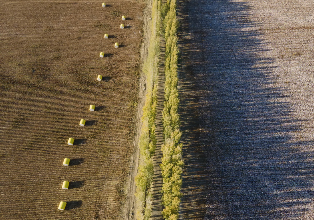 @½ǵ؅^ɳдȪlϴĔzꑸּҵ1024Քzo˙CƬȞѲյް[ڵrmr@Щް\܈Su҂Ȟյĵ؉K