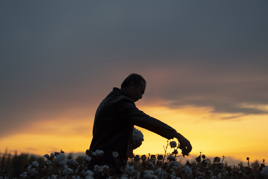 Օr^޻^Ӱ푲Mꑸּæժ޻ˮǷ^ߣ1023Քz