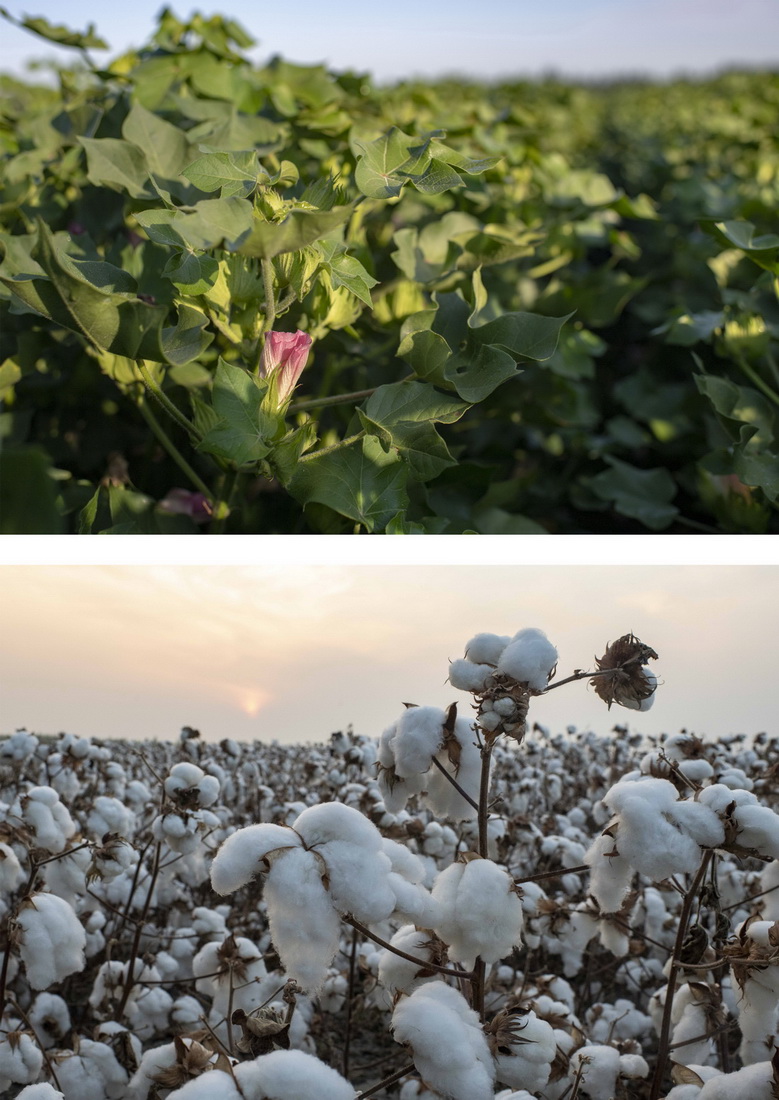 ƴƬψDʢĕr½ǵ؅^ɳдȪlϴĔzꑸּҵ715ՔzDՕrͬ؉KĔzꑸּҴյ1019Քz