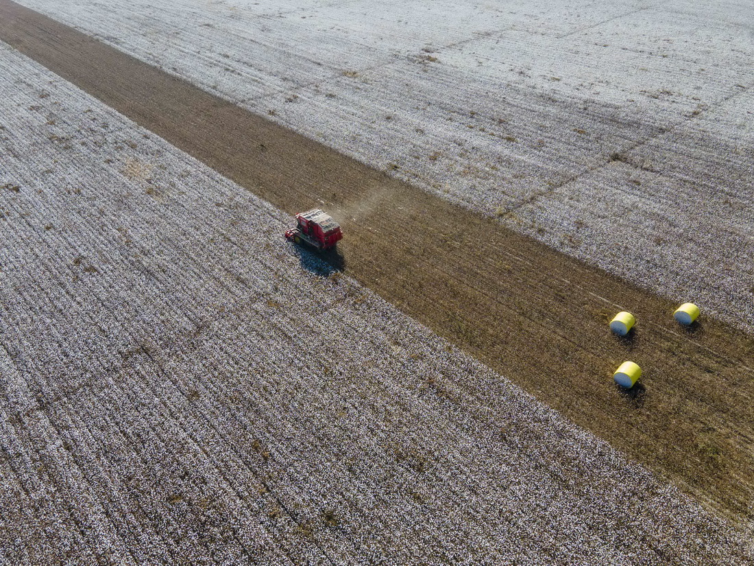 ½ǵ؅^ɳдȪlϴꑸֹõĲޙC޻1024Քzo˙CƬ