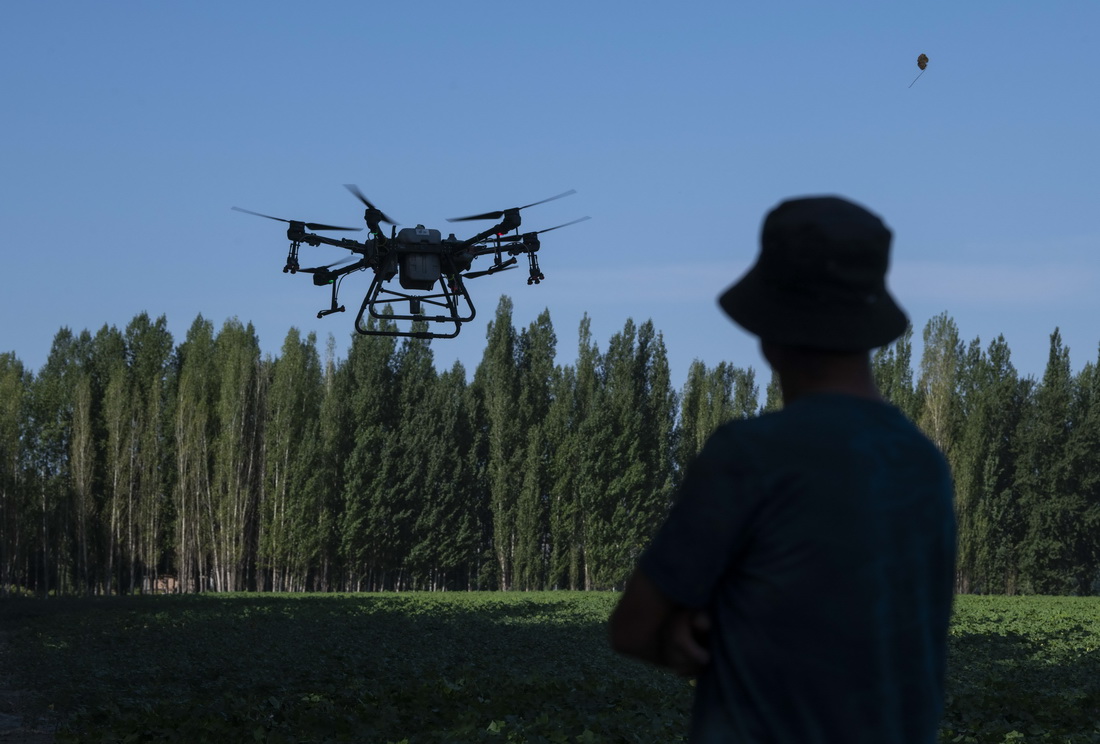 ʢggrIֲo˙Crˎꑸһ^715Քzꑼҵһιʹßo˙CMwI_CMˎ