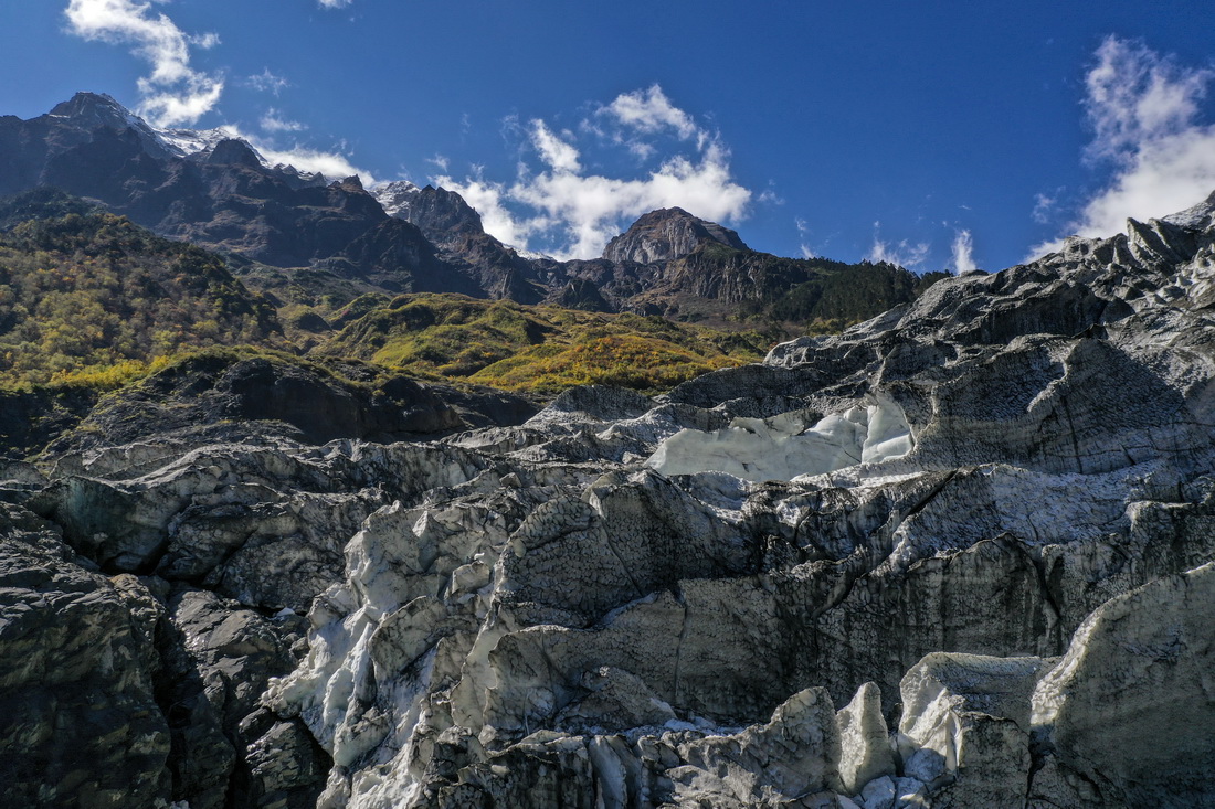 ԭʼɭﾰo˙CƬ1028Քz