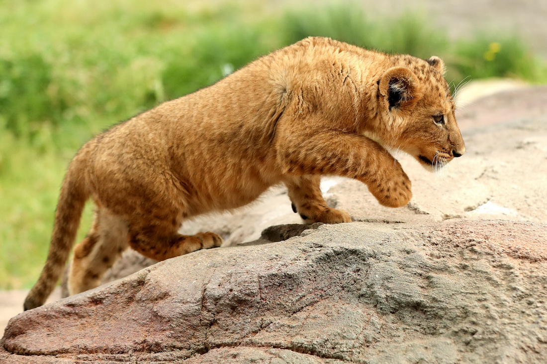 @114ڰĴϤʼӄ@ĔzС{