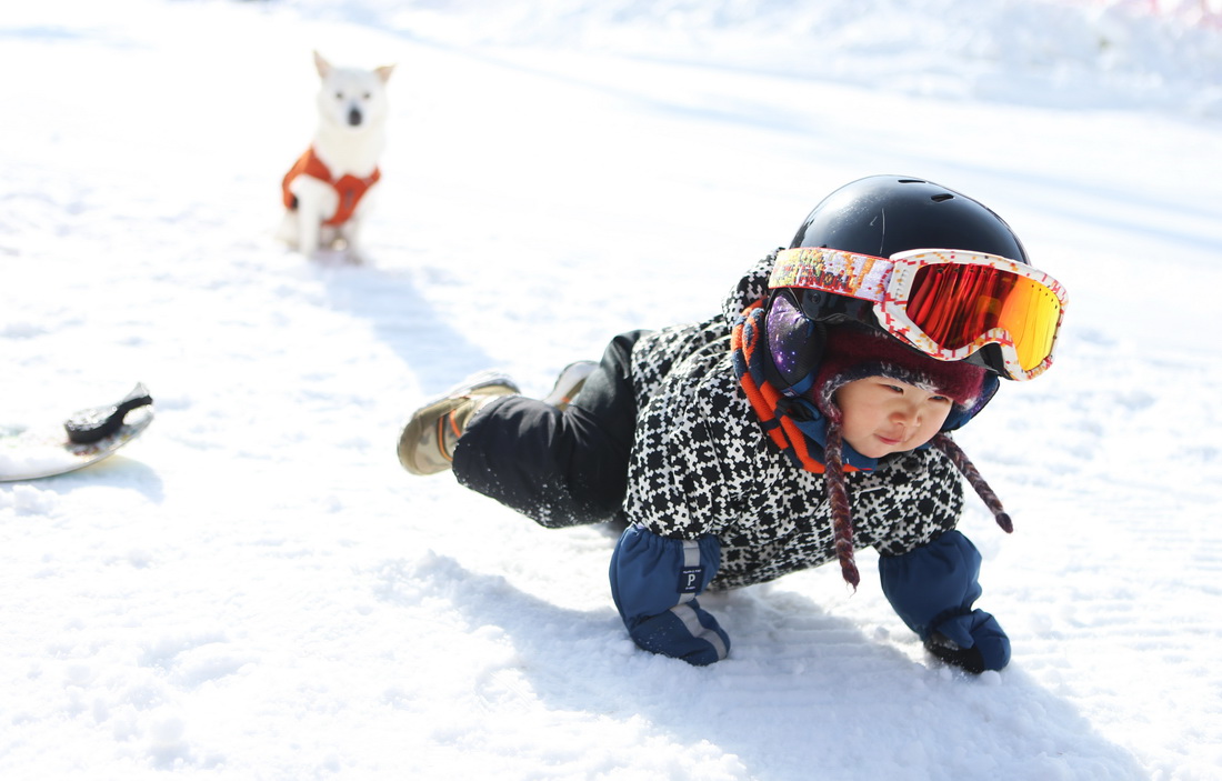 1118Ȍ^ѩAӛ  z