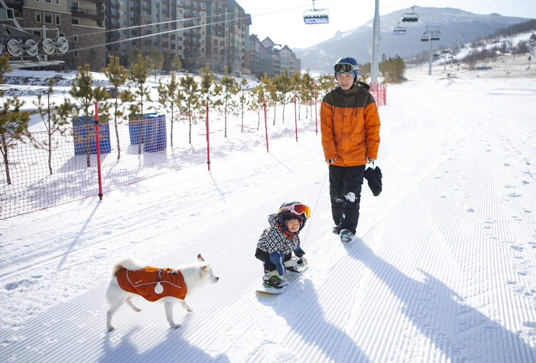 1118Ȍ^ڰְֺ͌ﹷС»ѩAӛ  z