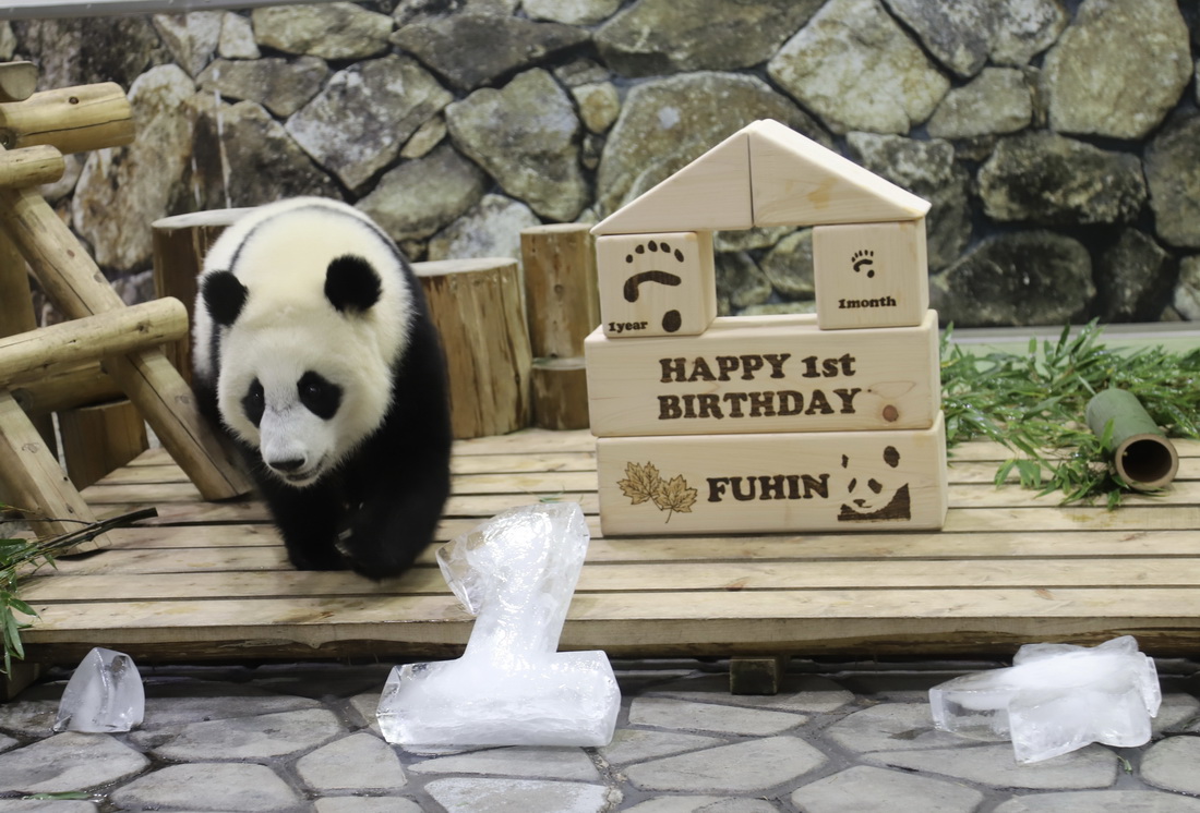 @1122ձ͸ɽhĔzĴ؈̡亡ՕF