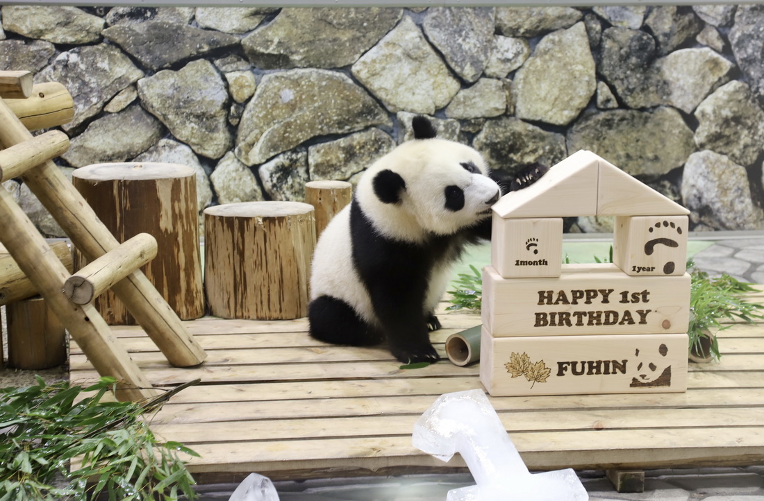 @1122ձ͸ɽhĔzĴ؈̡亡ՕF