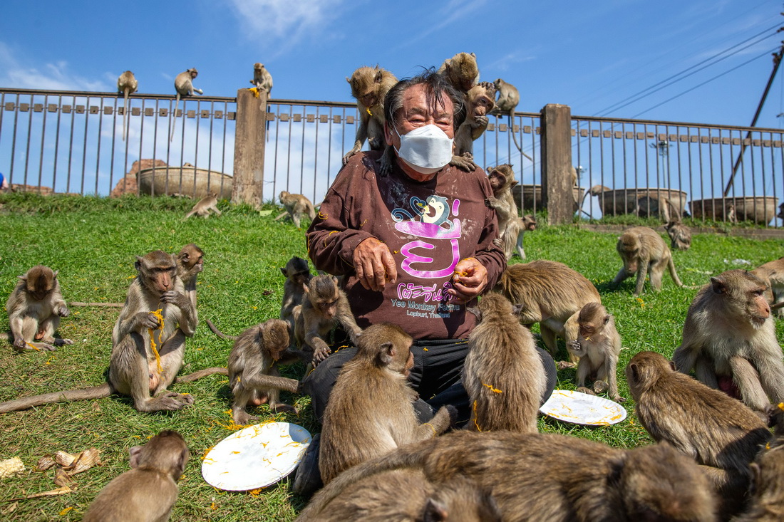 1128ˆT̩Aoιʳ