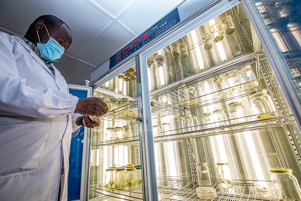 625ڿ၆{İDWӌWԺ၆rIпWό¡±Rڌ҃șzBĘӱ