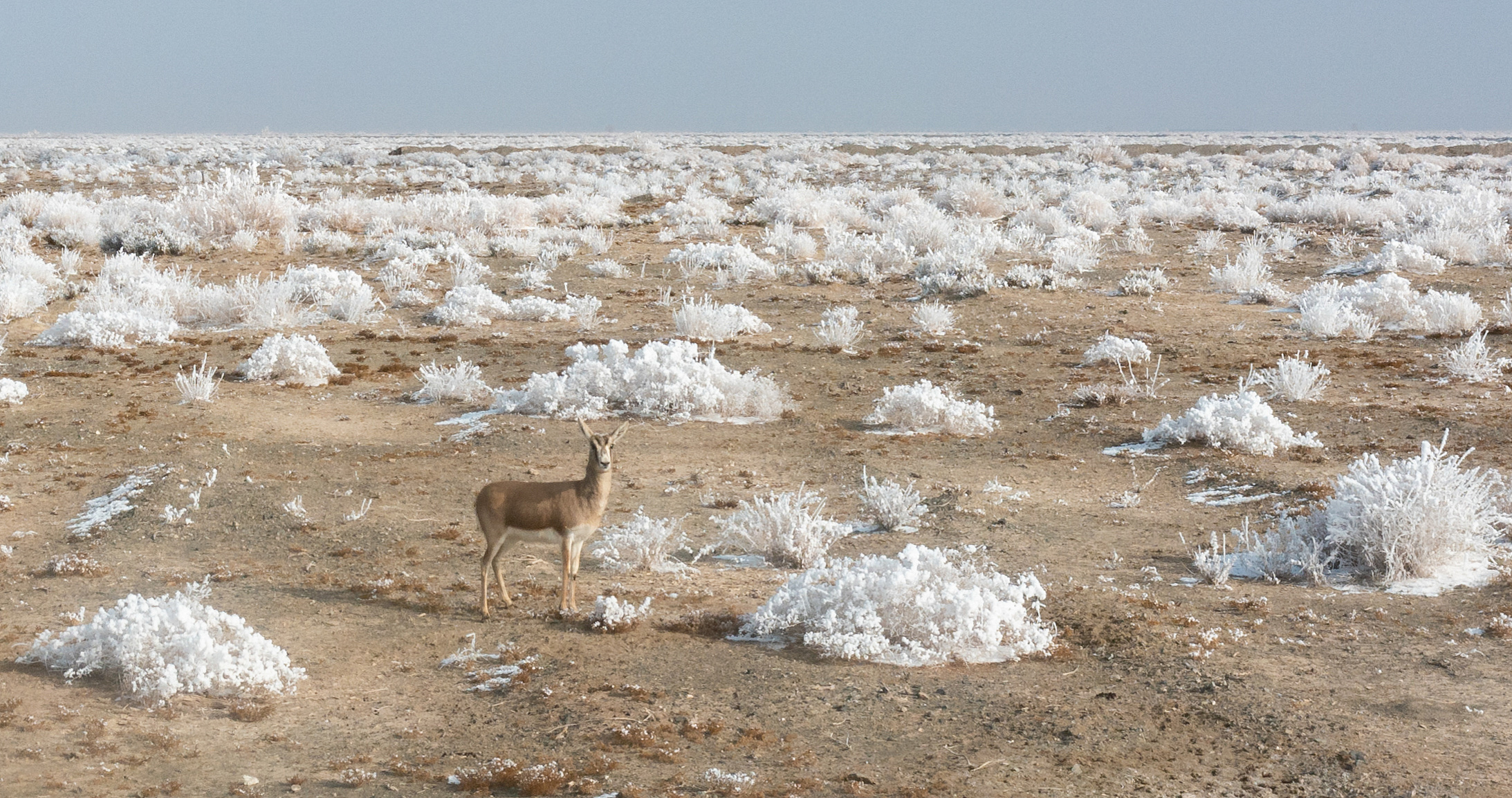 ½㣺ڞFFڡ^ ѩЄ]ͬ`7