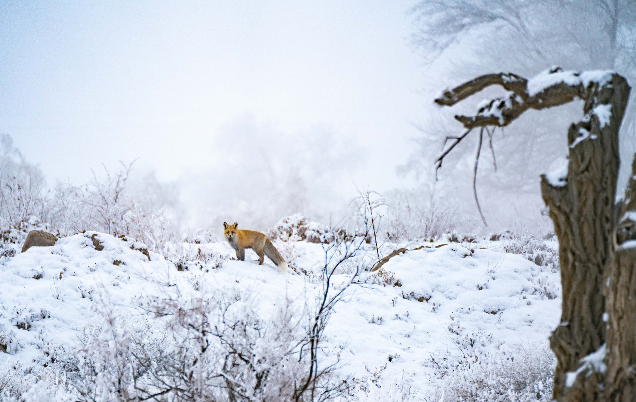 ½㣺ڞFFڡ^ ѩЄ]ͬ`4