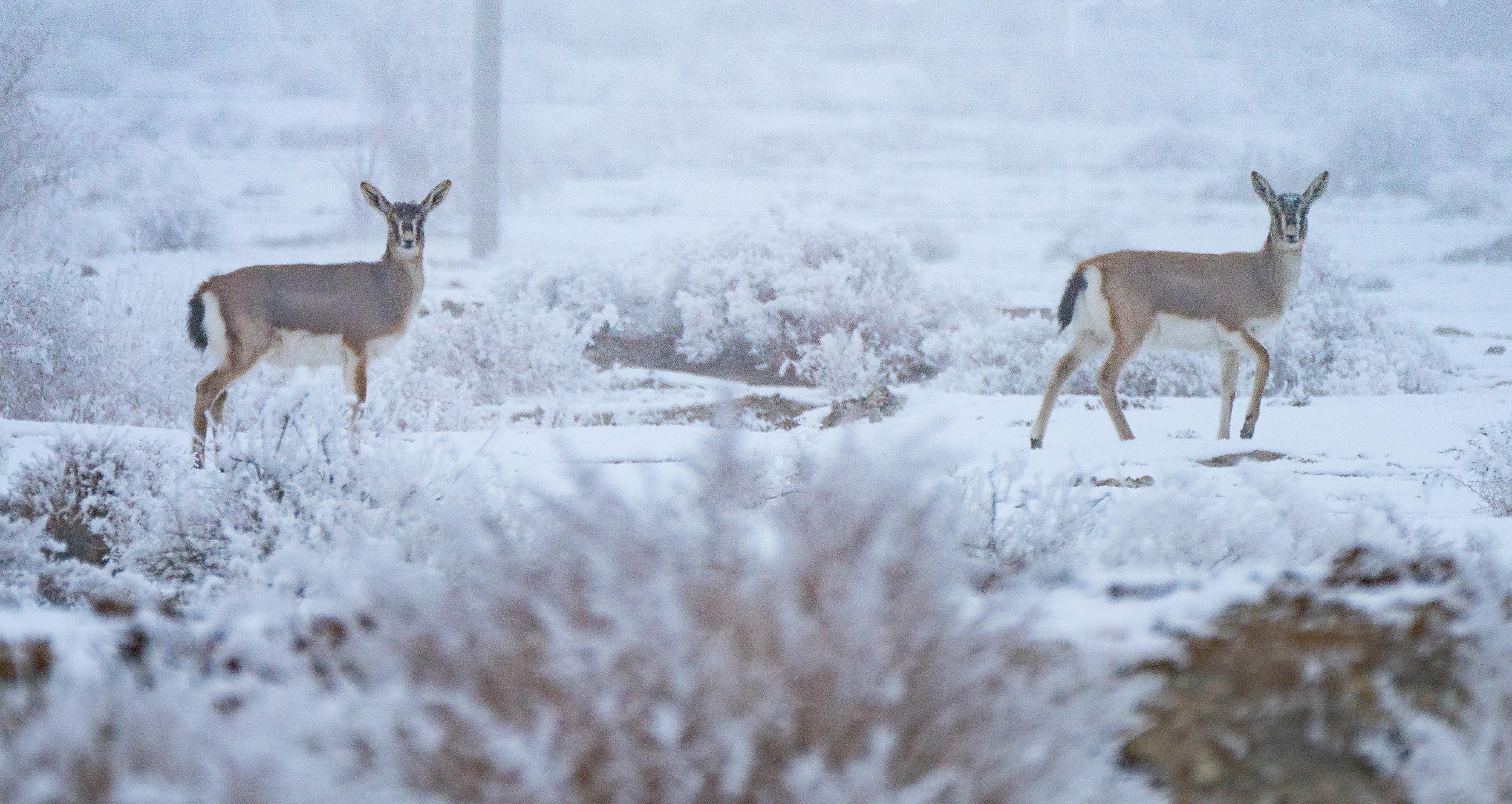 ½㣺ڞFFڡ^ ѩЄ]ͬ`2