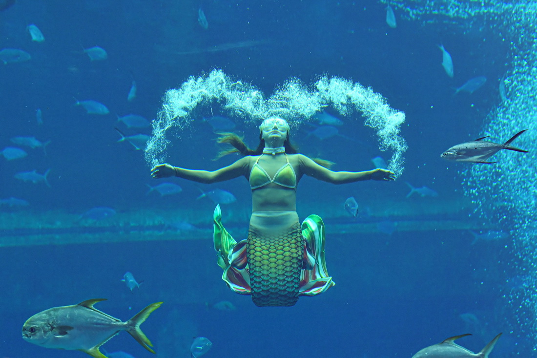 1221׌Ї~ِِxڱِ