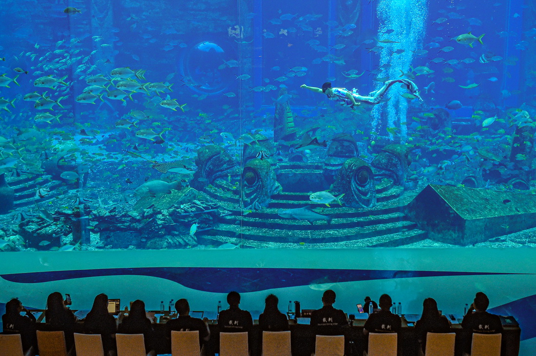 @1221ںm˹Ĕz׌Ї~ِF