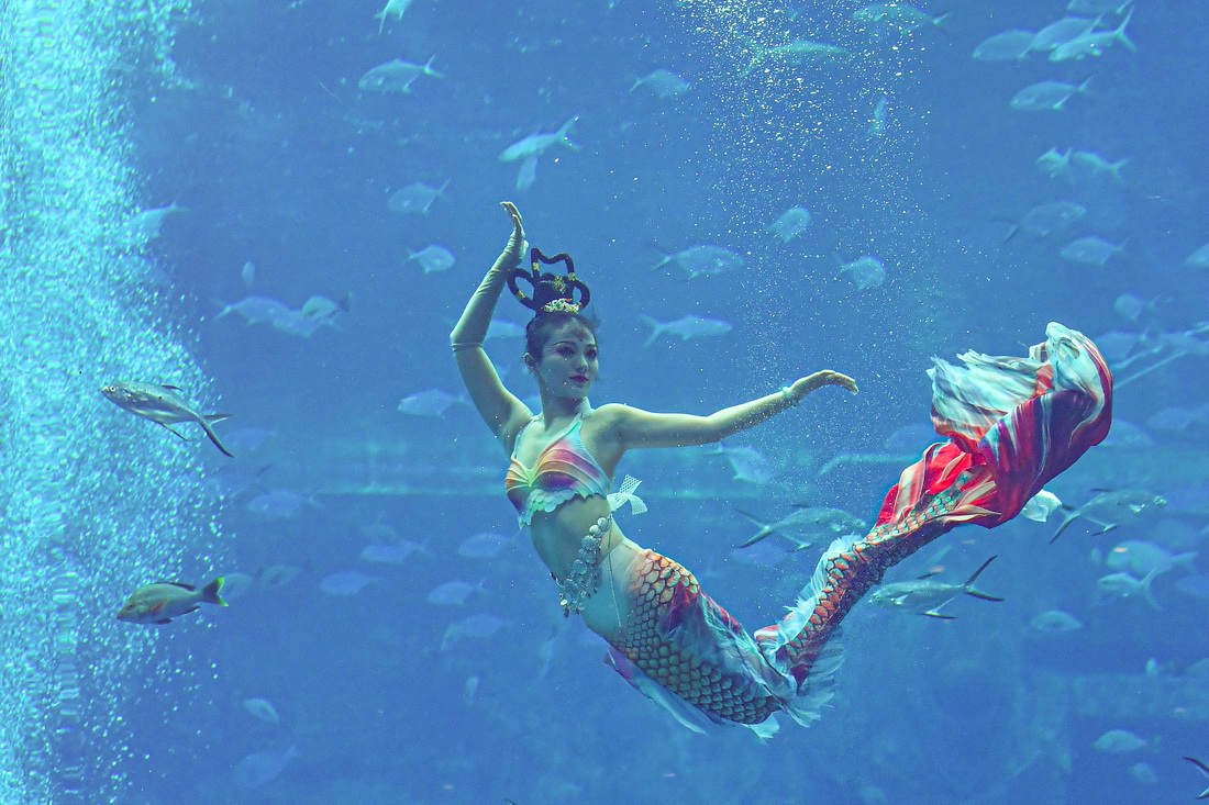 1221׌Ї~ِِxڱِ