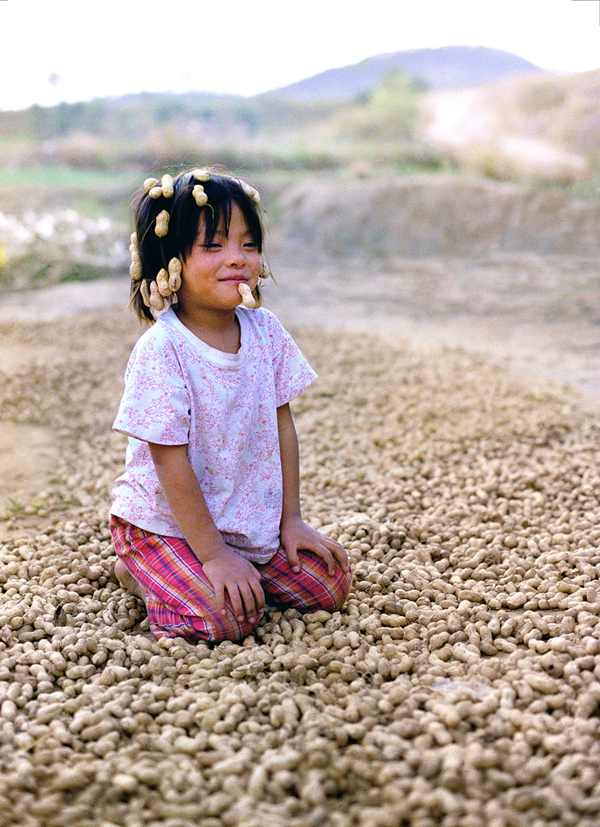 ¼Ĕzrg1984oz