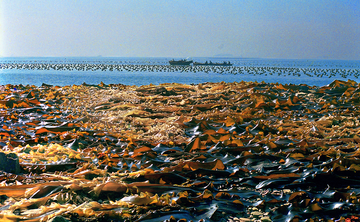 󺣵ؕIĔzrg1983oz