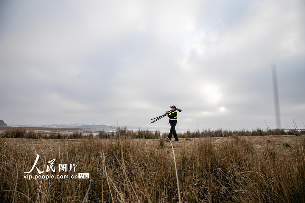 �F�ݮ����o�B�ˣ��o�òݺ������`����11��