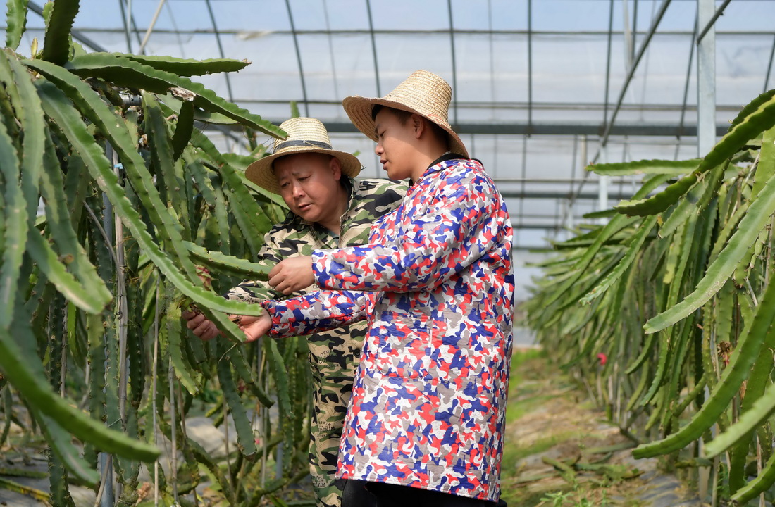 �����l���ң��͸��H�����������e�r�f�鿴�����������L��r��3��5�Քz����