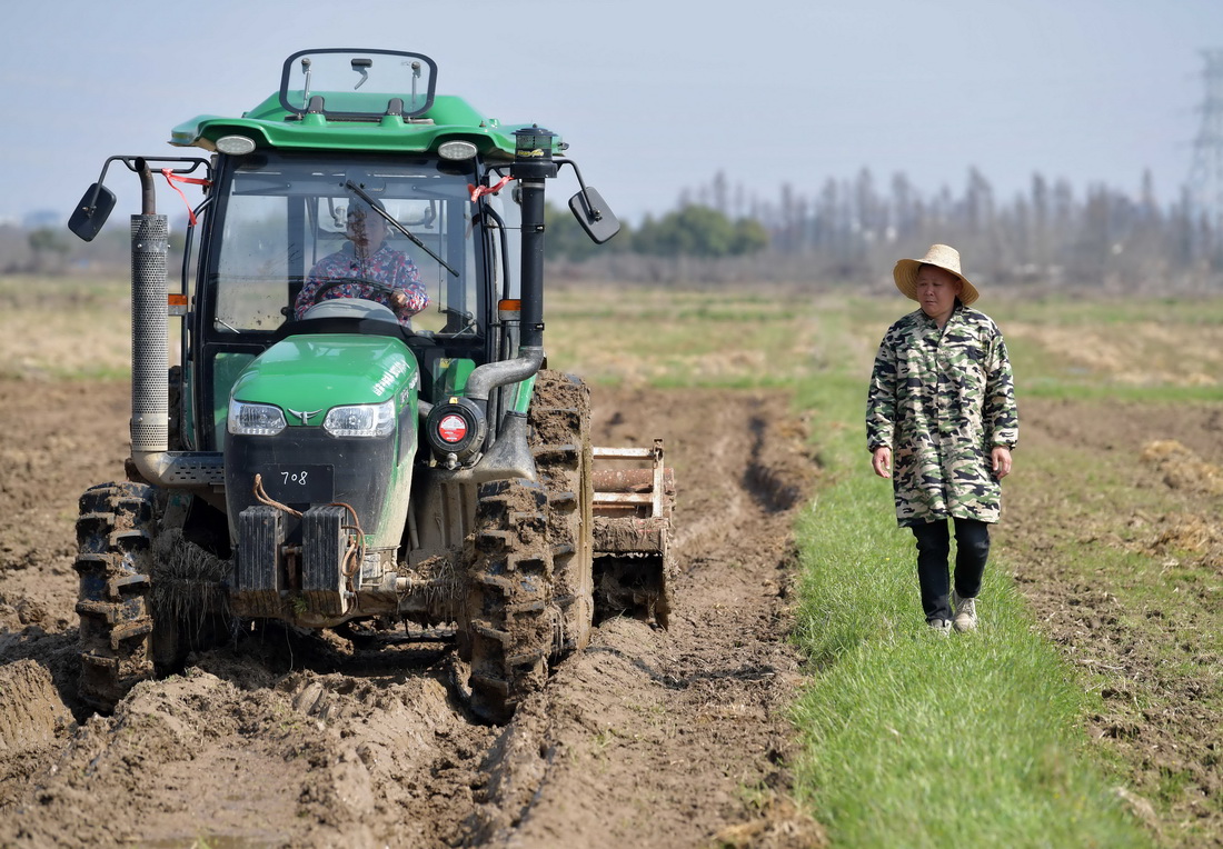 在江西省南昌縣岡上鎮晉安村，辜道朋（右）指揮兒子辜秉發駕駛旋耕機翻地（3月5日攝）。
