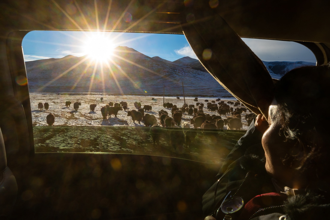 �����xѩɏ��Ů�ӌ��ЈF꠳ɆT��܇�������xʯ���h��70����������l��ͨ�^Ѳ�،����_ͥ����һ���x�鰸���Y����һ��Ĺ��������������еķ��ٝ�����������܇��߅��Ϣ��1��10�Քz�������A��ӛ�� ���n �z