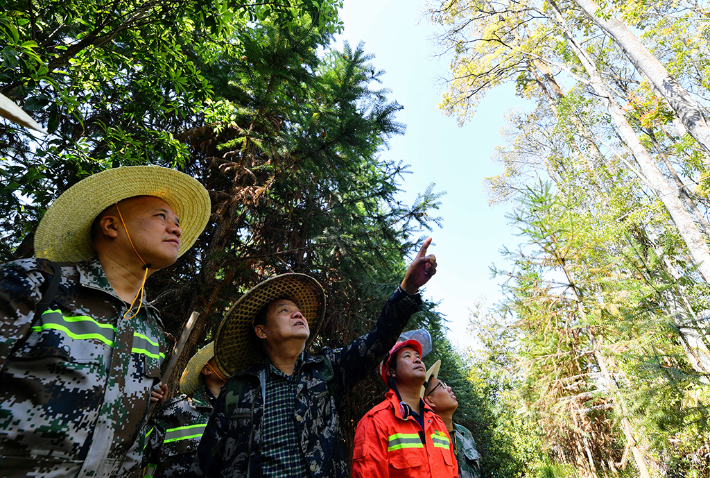 3��11�����S��ˮ����������o�ֆTͬ��һ��Ѳɽ���鿴���ֵ����L��r�����A��ӛ�� κ��ȫ �z