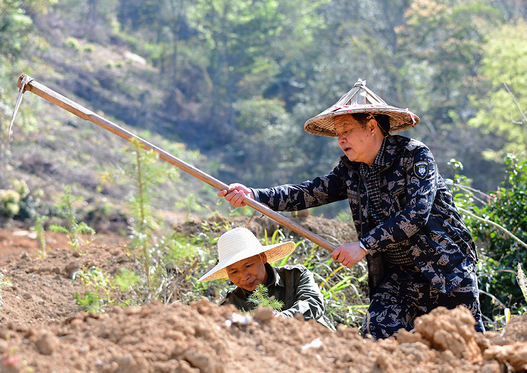 3��11�����S��ˮ���ң���ͬ�·Nֲɼ���������A��ӛ�� κ��ȫ �z