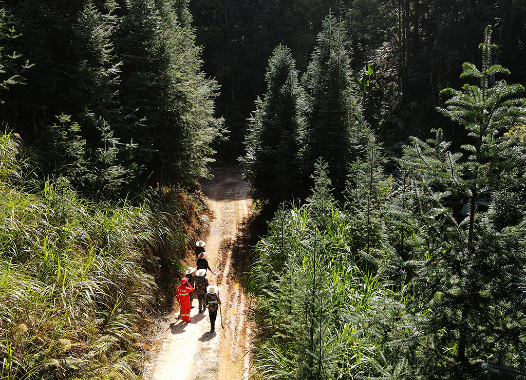 3��11�����ڰ�Ϫ�S������ֈ����o�ֆT�������b���MɽѲ�飨�o�˙C��Ƭ�������A��ӛ�� κ��ȫ �z