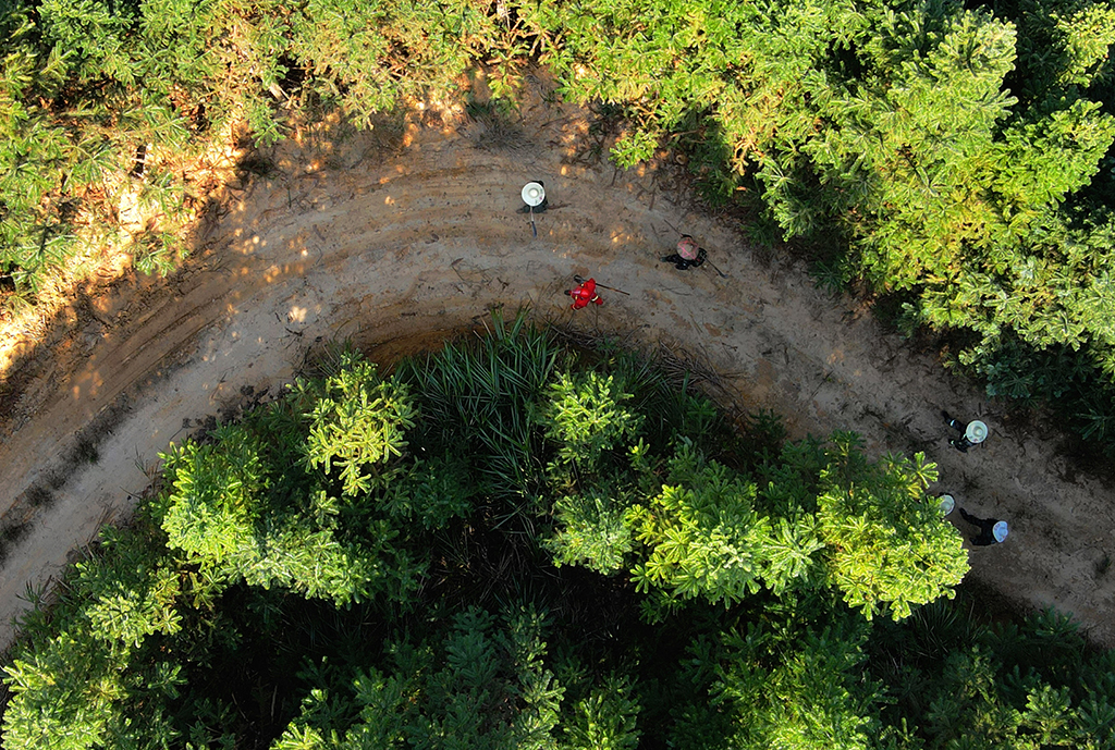 3��11�����S��ˮ��ͬ�������օ^С·�ϣ��o�˙C��Ƭ�������A��ӛ�� κ��ȫ �z