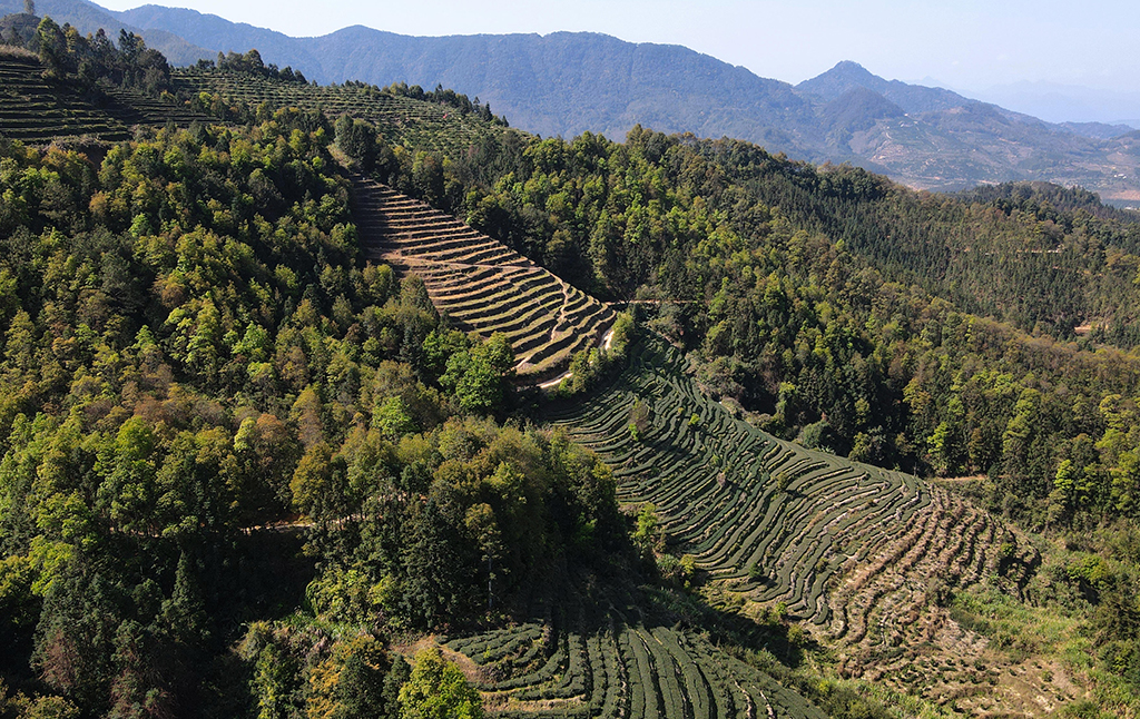 3��11���Ĕz��Ȫ���а�Ϫ�S������ֈ����ҹ��o�^���o�˙C��Ƭ�������A��ӛ�� κ��ȫ �z