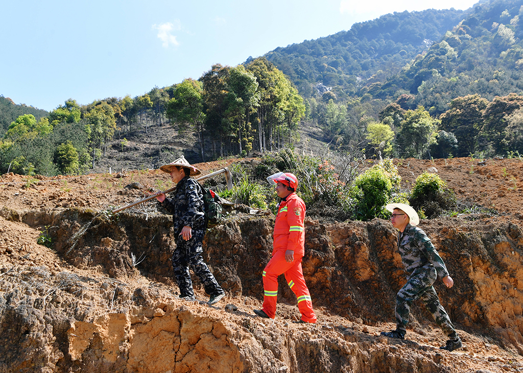 3��11�����S��ˮ����һ����ͬ�����b��������ɽ�^�Nֲɼ���������A��ӛ�� κ��ȫ �z