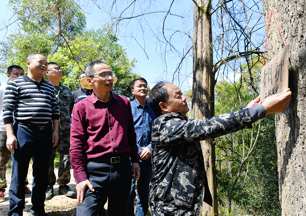 3��11�����S��ˮ����һ���ڸ����֘I�I���g�WԺ���ҷ�������������ָ���������ֈ�������F��N���X���������ƵĘ��������A��ӛ�� κ��ȫ �z